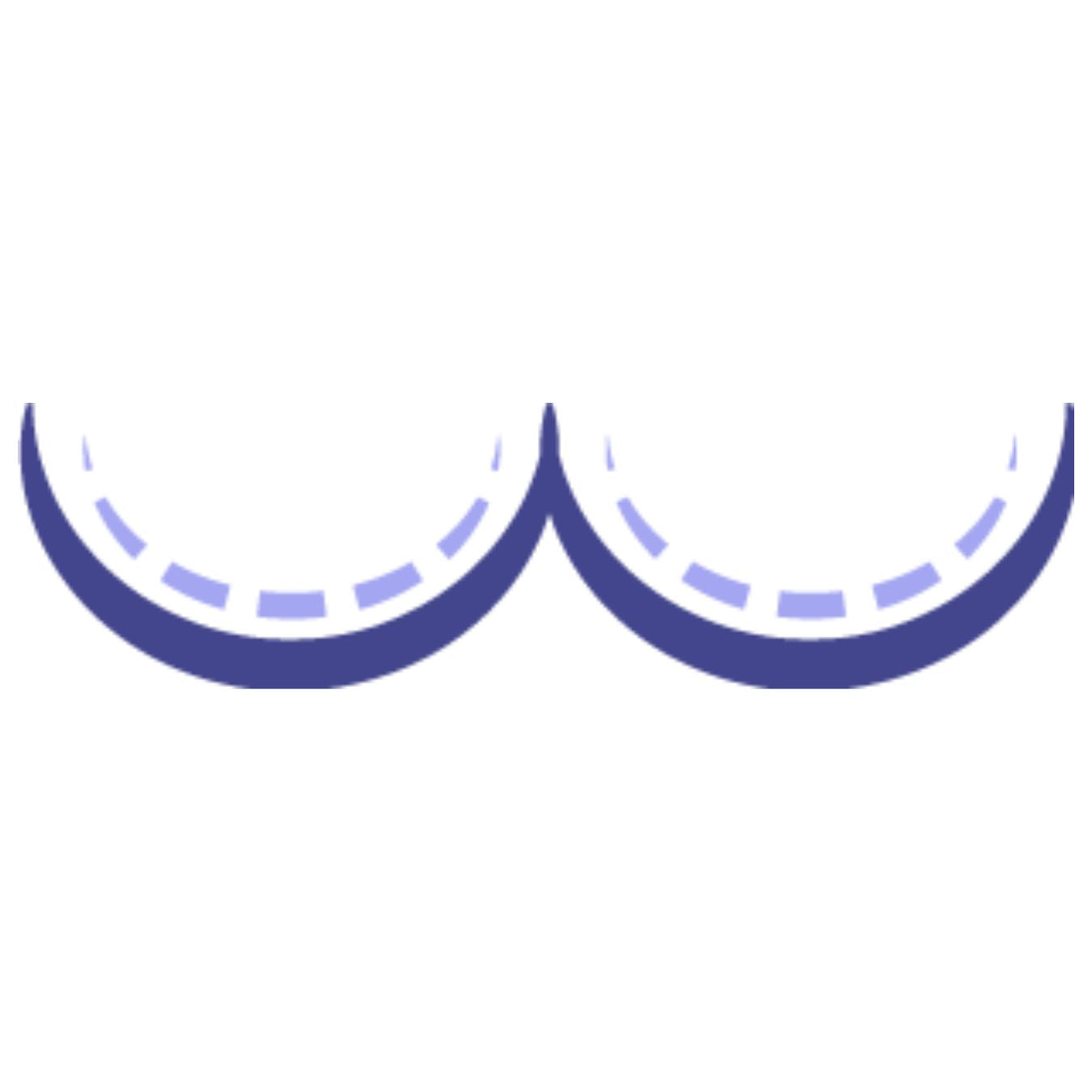 wireless bra icon